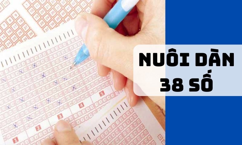 Có nên nuôi dàn đề 38 số không